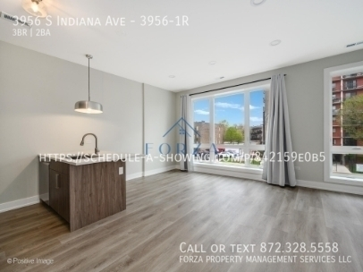 3 bedrooms apartment for rent in Bronzeville - Central, Chicago