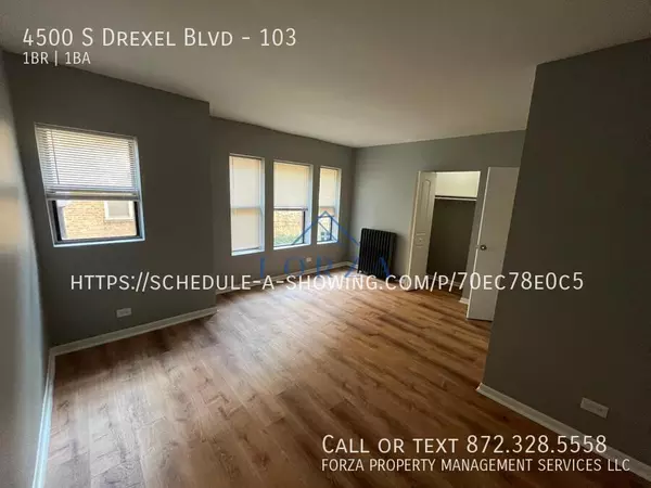 1 bedroom apartment for rent in Grand Boulevard - South Side, Chicago