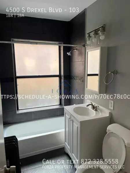 1 bedroom apartment for rent in Grand Boulevard - South Side, Chicago