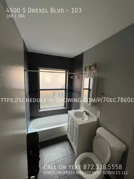 1 bedroom apartment for rent in Grand Boulevard - South Side, Chicago