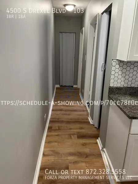 1 bedroom apartment for rent in Grand Boulevard - South Side, Chicago