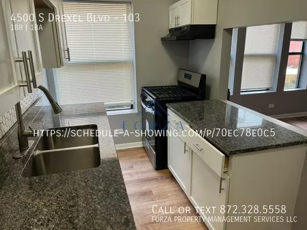 1 bedroom apartment for rent in Grand Boulevard - South Side, Chicago