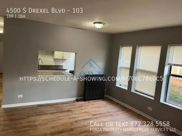 1 bedroom apartment for rent in Grand Boulevard - South Side, Chicago