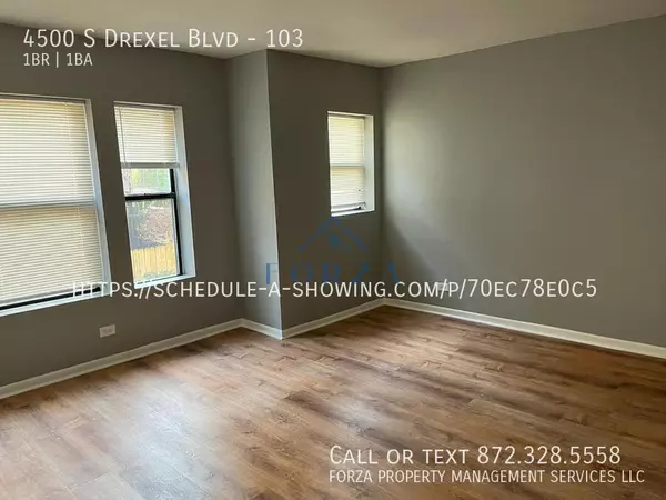 1 bedroom apartment for rent in Grand Boulevard - South Side, Chicago
