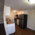 1 bedroom apartment for rent in North Loop - North Central Austin, Austin