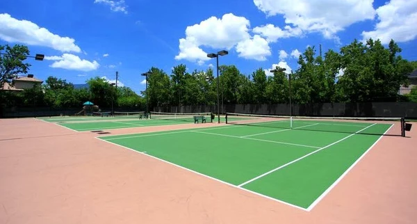 1 bedroom apartment for rent in Uptown - West Houston, Houston