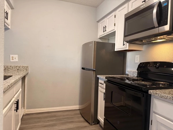 1 bedroom apartment for rent in Chinatown Houston - Sw Houston, Houston