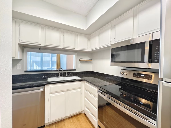 1 bedroom apartment for rent in Montrose - Inner Loop, Houston