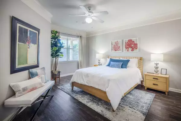 1 bedroom apartment for rent in North Lamar - North Austin, Austin