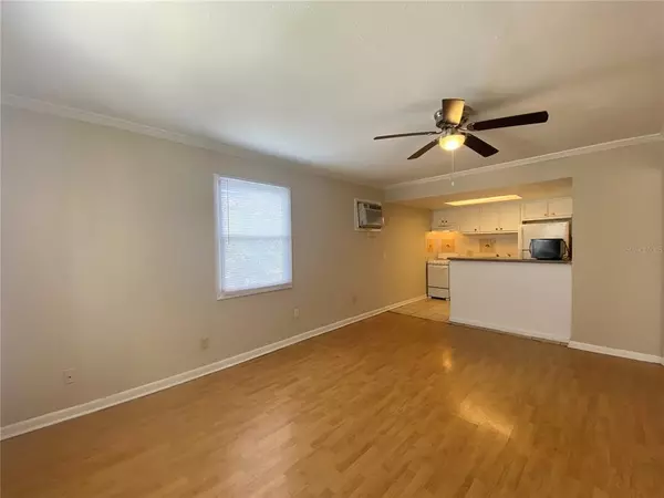 1 bedroom apartment for rent in Azalea Park - East Orlando, Orlando