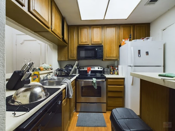 1 bedroom apartment for rent in Old West Austin - Central Austin, Austin