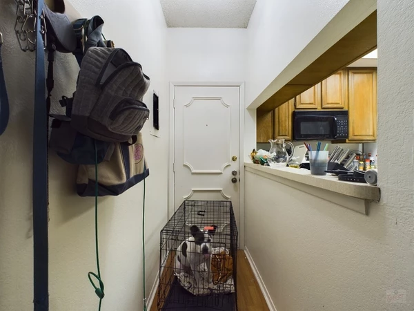 1 bedroom apartment for rent in Old West Austin - Central Austin, Austin