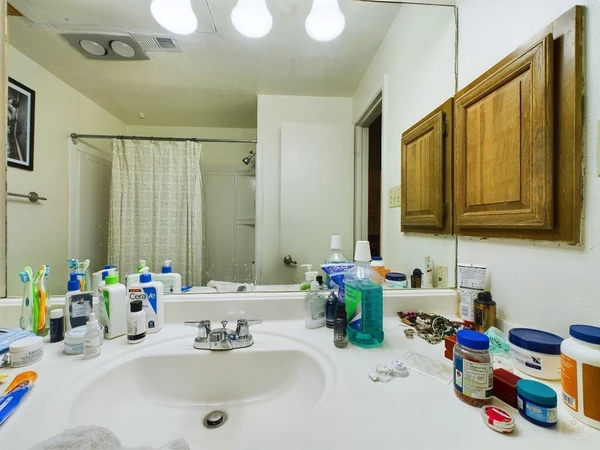 1 bedroom apartment for rent in Old West Austin - Central Austin, Austin