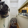 1 bedroom apartment for rent in Old West Austin - Central Austin, Austin