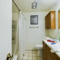 1 bedroom apartment for rent in Old West Austin - Central Austin, Austin