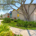1 bedroom apartment for rent in Spring Branch Central - Nw Houston, Houston