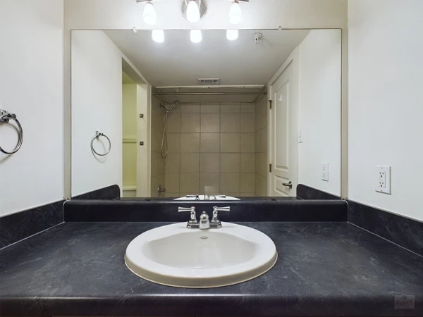 1 bedroom apartment for rent in Old West Austin - Central Austin, Austin