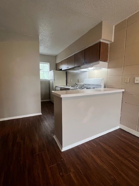 2 bedrooms apartment for rent in Hyde Park ATX - Central Austin, Austin