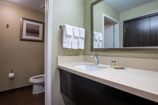 1 bedroom apartment for rent in North Houston - Nw Houston, Houston