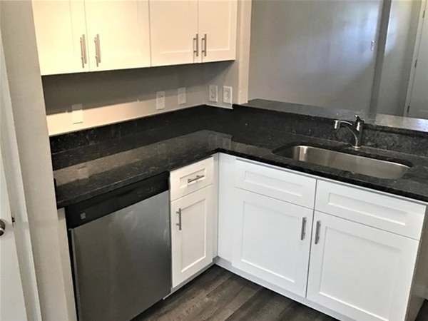 4 bedrooms apartment for rent in East Houston - Ne Houston, Houston