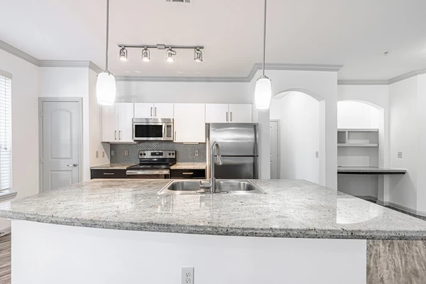 1 bedroom apartment for rent in Braeswood Place - Inner Loop, Houston