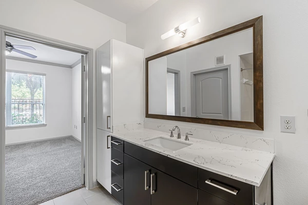 1 bedroom apartment for rent in Braeswood Place - Inner Loop, Houston