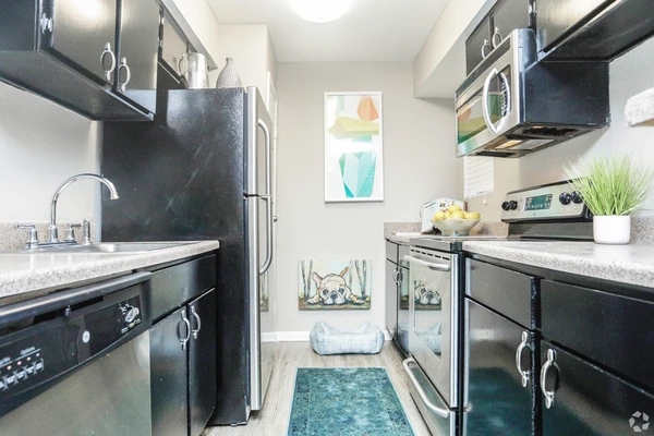 2 bedrooms apartment for rent in Chinatown Houston - Sw Houston, Houston