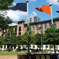 2 bedrooms apartment for rent in Downtown Houston - Inner Loop, Houston
