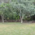 3 bedrooms apartment for rent in Bartram Park - Southside, Jacksonville