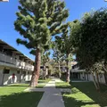 2 bedrooms apartment for rent in Mar Vista - Westside / South Bay, Los Angeles