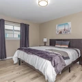 2 bedrooms apartment for rent in Braeswood Place - Inner Loop, Houston