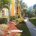 1 bedroom apartment for rent in Fort Myers - Fort Myers, Fort Myers