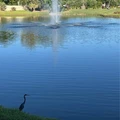 2 bedrooms apartment for rent in McGregor - Fort Myers, Fort Myers