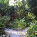 1 bedroom apartment for rent in North Sarasota - Sarasota, Sarasota