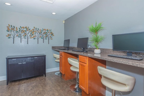 1 bedroom apartment for rent in Spring - Ne Houston, Houston