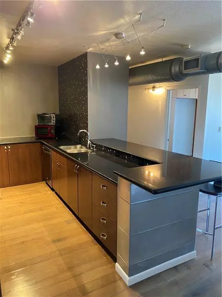 2 bedrooms apartment for rent in Downtown Austin - Central Austin, Austin