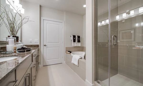 2 bedrooms apartment for rent in Downtown Houston - Inner Loop, Houston