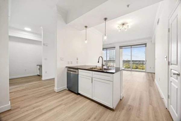 1 bedroom apartment for rent in Hyde Park Houston - Inner Loop, Houston