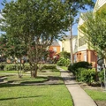 1 bedroom apartment for rent in Braeswood Place - Inner Loop, Houston