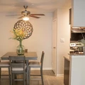 1 bedroom apartment for rent in Braeswood Place - Inner Loop, Houston