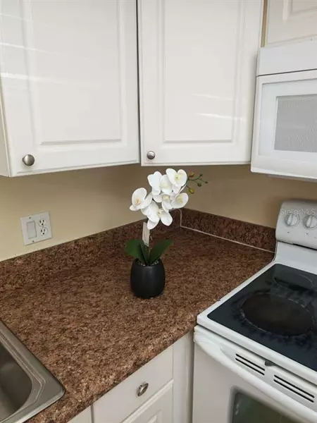 1 bedroom apartment for rent in Town 'n' Country - West Tampa, Tampa