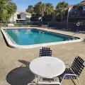 1 bedroom apartment for rent in Town 'n' Country - West Tampa, Tampa