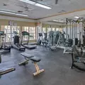 1 bedroom apartment for rent in Orlovista - West Orlando, Orlando
