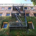 Studio Apartment for rent in Mid Wilshire - Central Los Angeles, Los Angeles