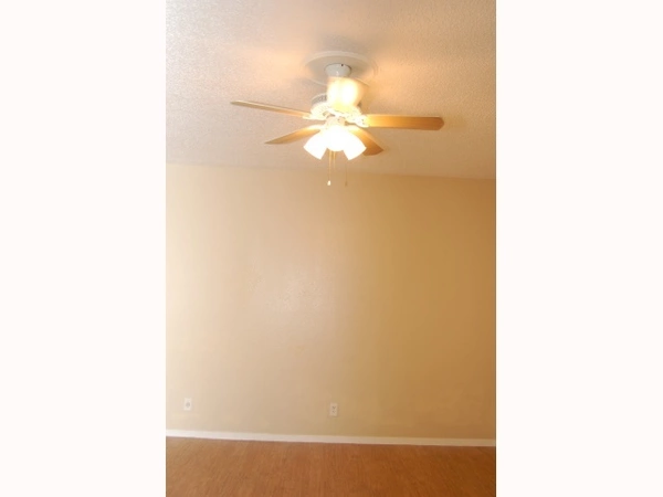 Studio Apartment for rent in Hyde Park ATX - Central Austin, Austin