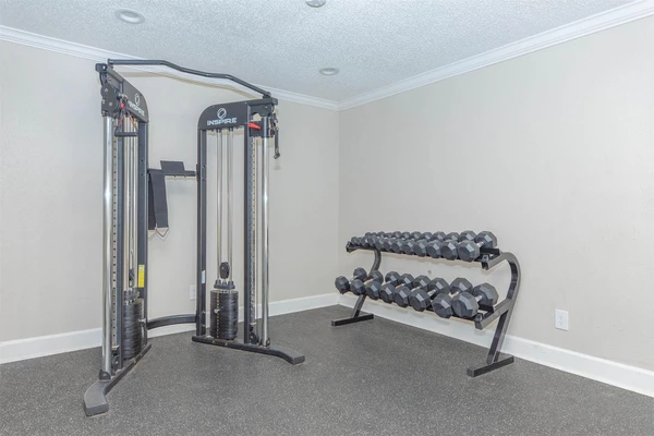 1 bedroom apartment for rent in Woodlake/ Briar Meadow - West Houston, Houston