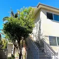 1 bedroom apartment for rent in Mar Vista - Westside / South Bay, Los Angeles