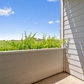 1 bedroom apartment for rent in North Austin Civic Association - North Austin, Austin