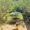 1 bedroom apartment for rent in Beach Park - West Tampa, Tampa