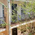 1 bedroom apartment for rent in Beach Park - West Tampa, Tampa